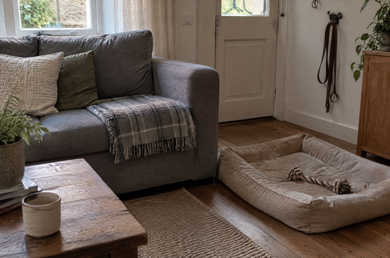 Un salon calme : un plaid sur le canapé, un panier de chien vide, une laisse accrochée près de la porte